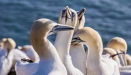 模特一般身高要多少